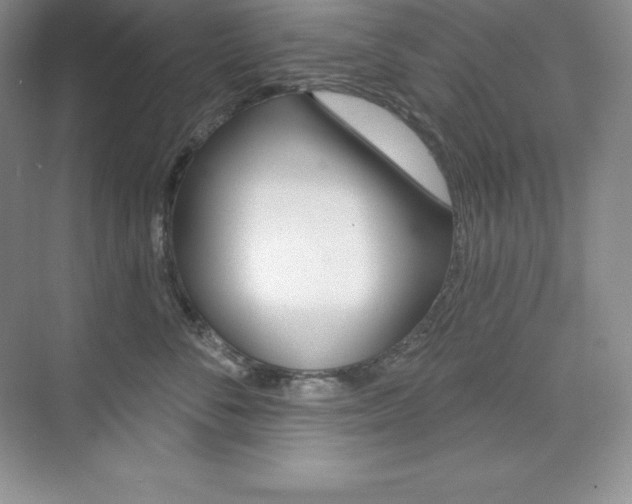 X0000073890716200608110910