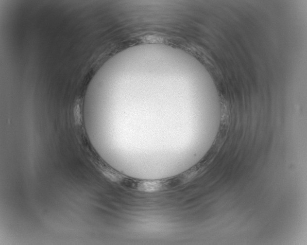 X0000073890717200608110910