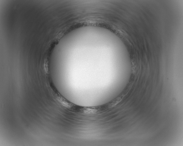 X0000073890718200608110910