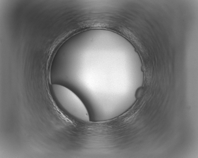 X0000073890721200608110909