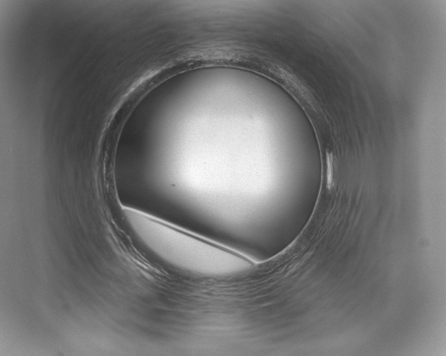 X0000073890723200608110909