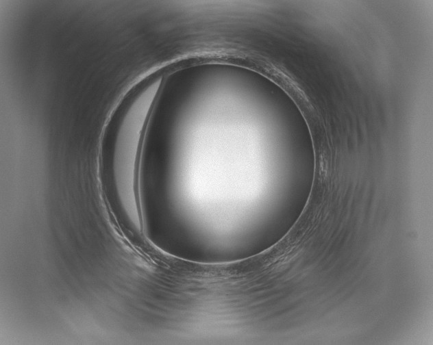 X0000073890724200608110909