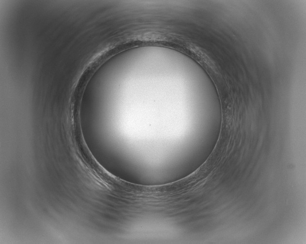 X0000073890727200608110909