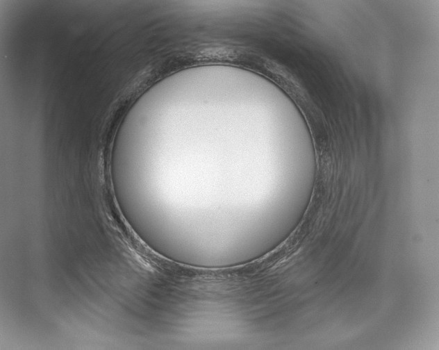 X0000073890729200608110909