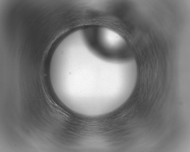 X0000073890731200608110909
