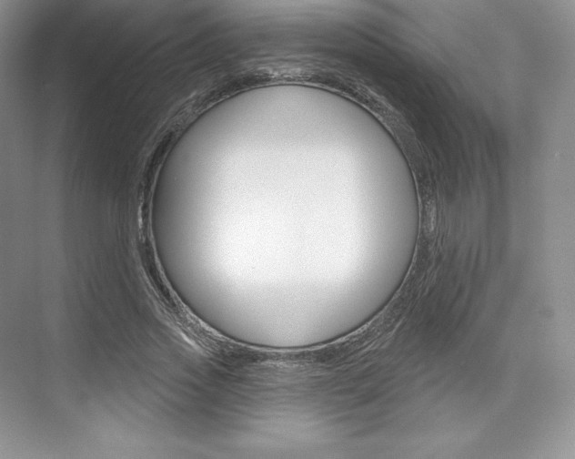 X0000073890733200608110909
