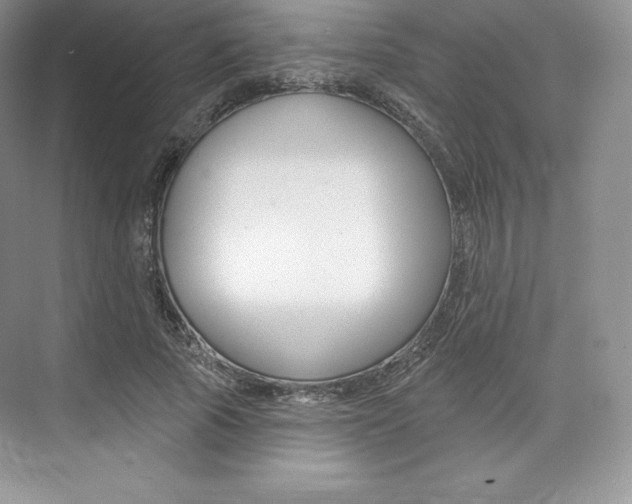 X0000073890737200608110909