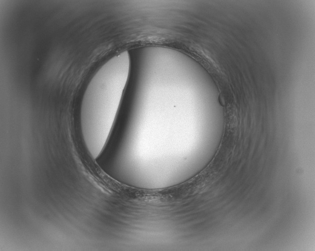 X0000073890738200608110909