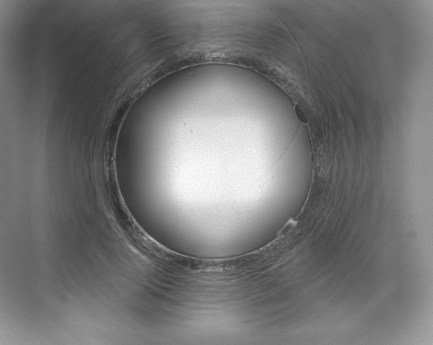 X0000073890740200608110909