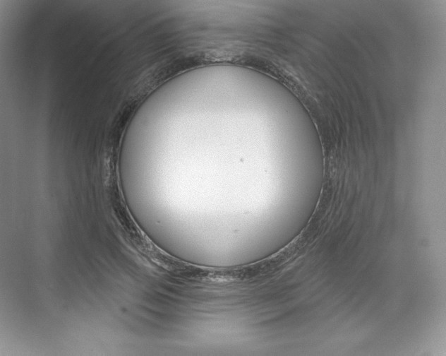 X0000073890741200608110909