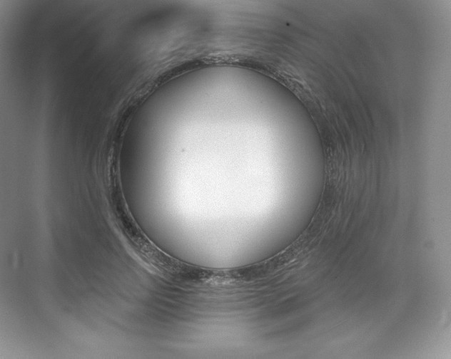 X0000073890742200608110909