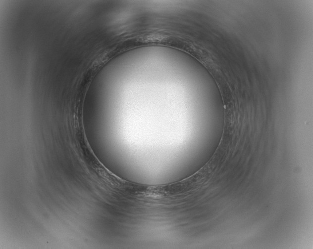 X0000073890743200608110909