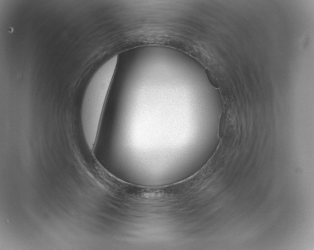 X0000073890744200608110909