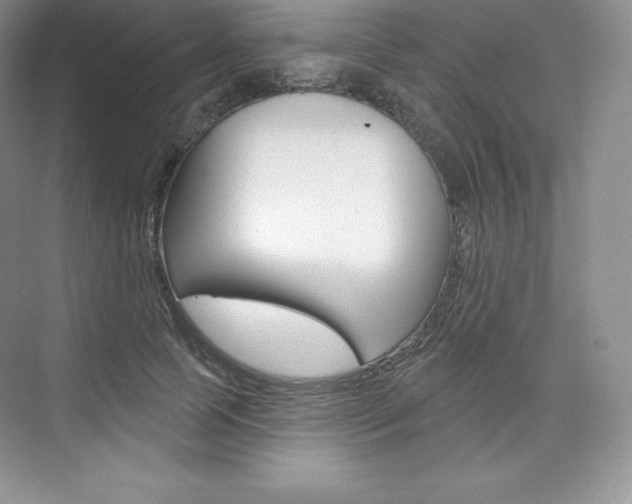 X0000073890745200608110909