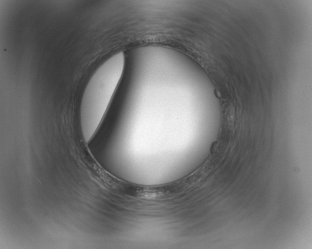 X0000073890746200608110909