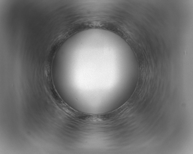 X0000073890747200608110909
