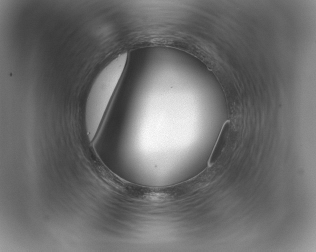 X0000073890748200608110909