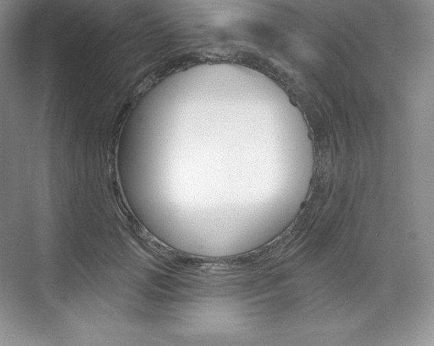 X0000073890749200608110909