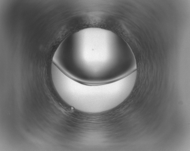 X0000073890750200608110909