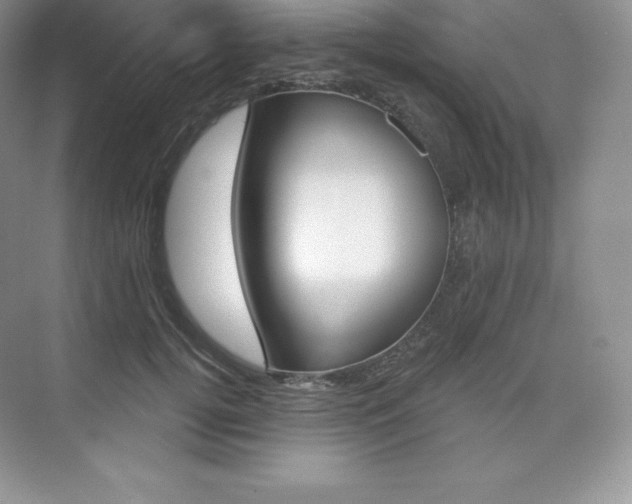 X0000073890752200608110909