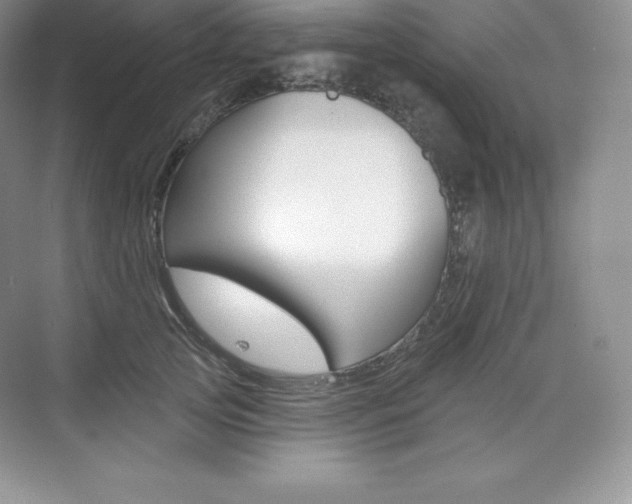 X0000073890753200608110909
