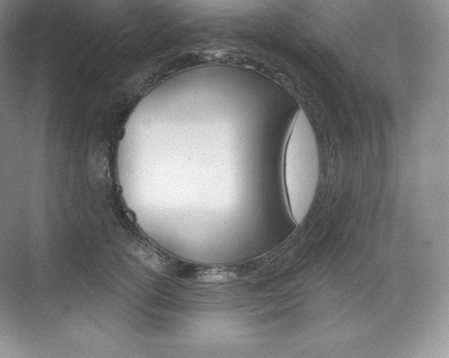 X0000073890754200608110909