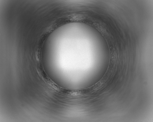 X0000073890755200608110909