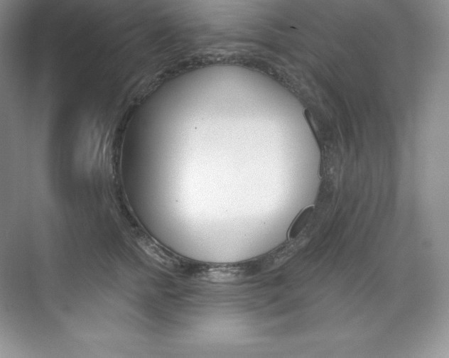 X0000073890758200608110909
