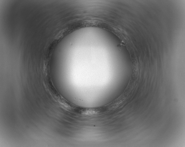 X0000073890759200608110909