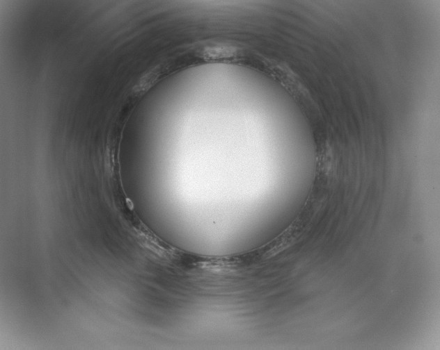 X0000073890763200608110909