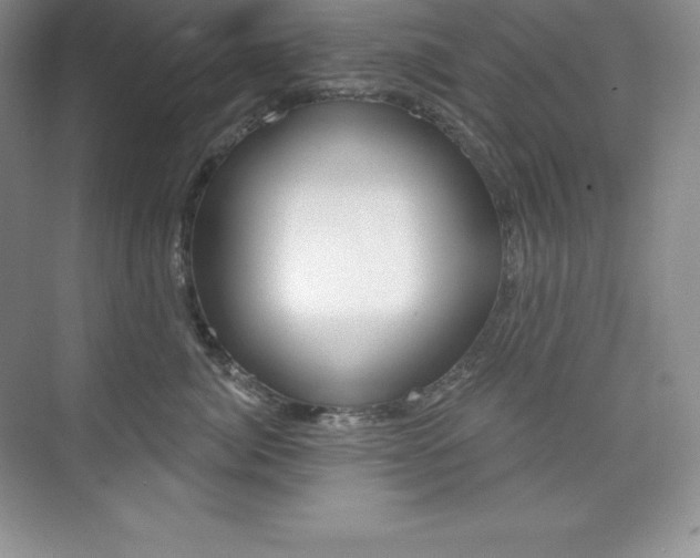 X0000073890764200608110909
