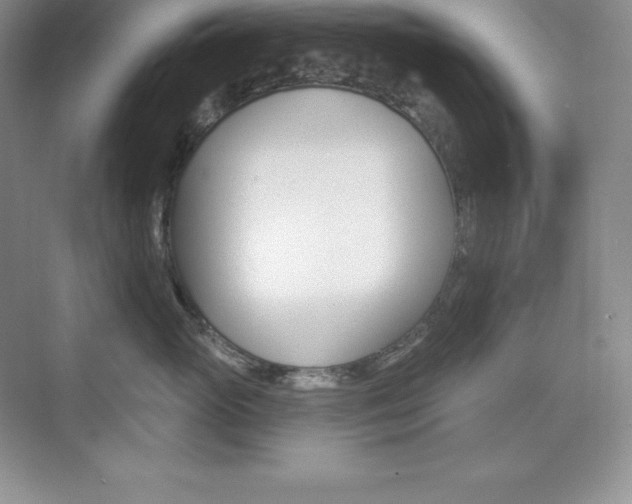 X0000073890765200608110909