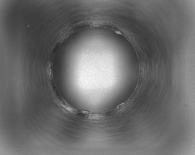 X0000073890766200608110909