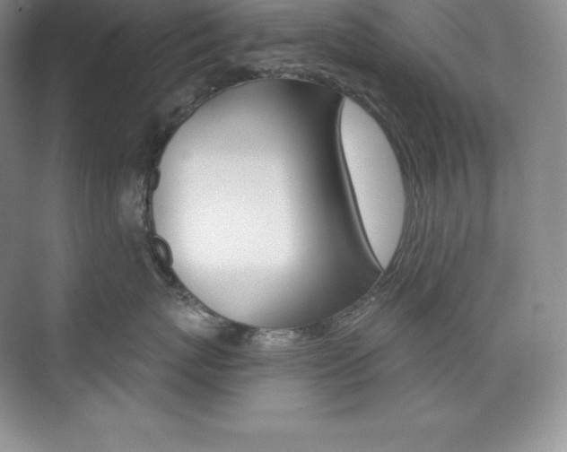 X0000073890767200608110909