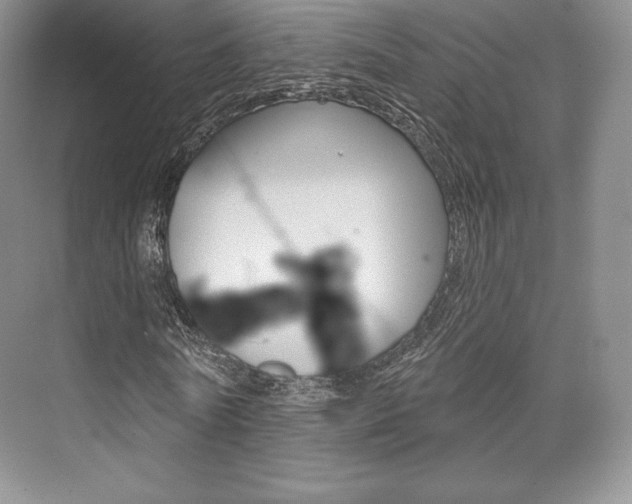 X0000073890770200608110909