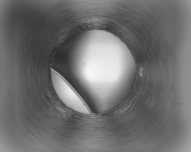 X0000073890771200608110909