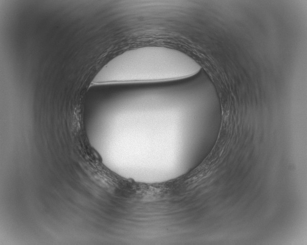 X0000073890772200608110909