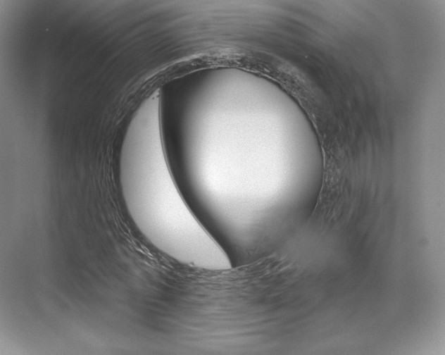 X0000073890773200608110909