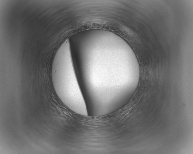 X0000073890774200608110909