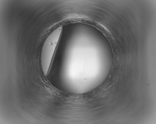 X0000073890775200608110909