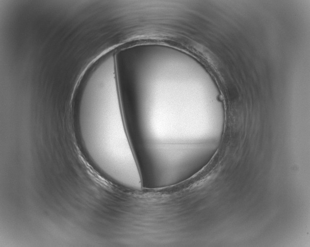 X0000073890779200608110909