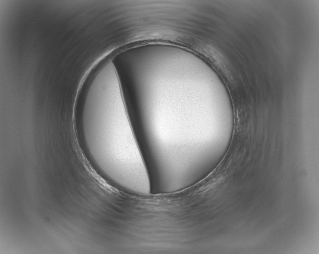 X0000073890780200608110908