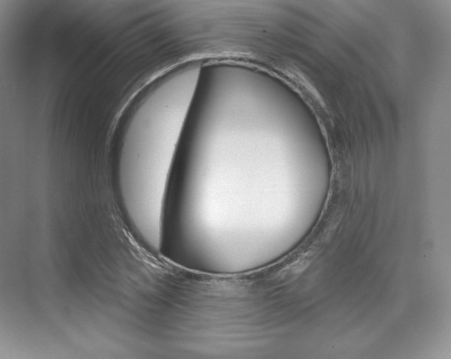 X0000073890781200608110908