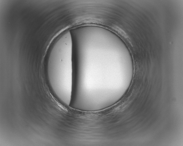 X0000073890782200608110908