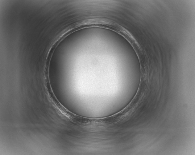 X0000073890786200608110908