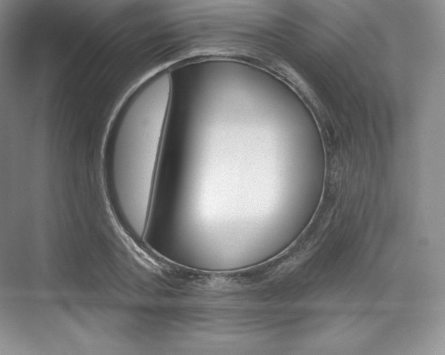 X0000073890787200608110908
