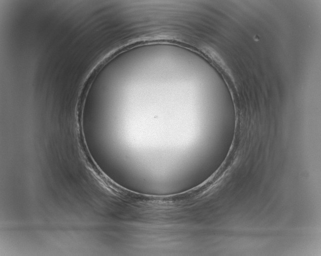 X0000073890789200608110908
