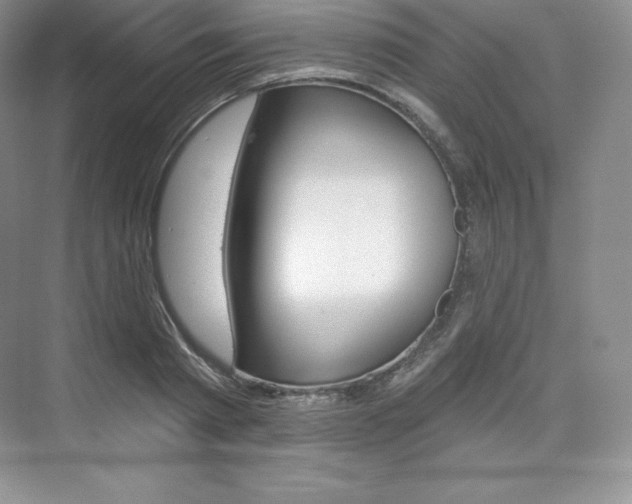 X0000073890793200608110908