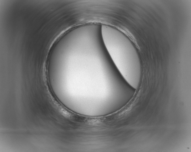 X0000073890798200608110908