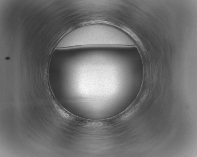X0000073890801200608110908
